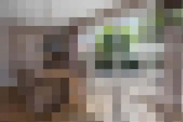 Kloostermanswijk WZ 64 Klazienaveen thumbnail 7