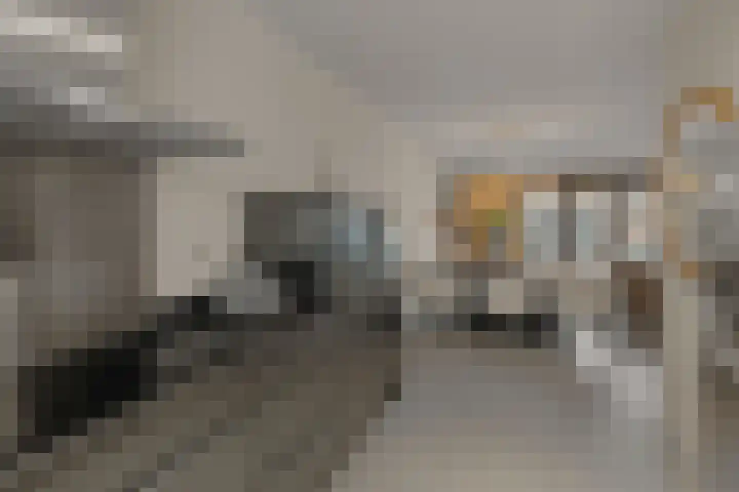 Kloostermuur 16 Houten thumbnail 15