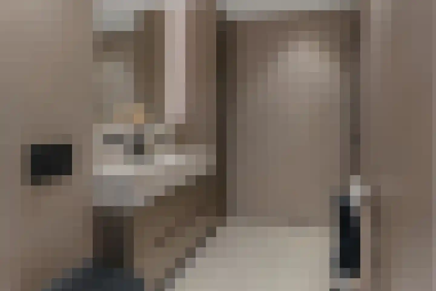 Kloostermuur 16 Houten thumbnail 19