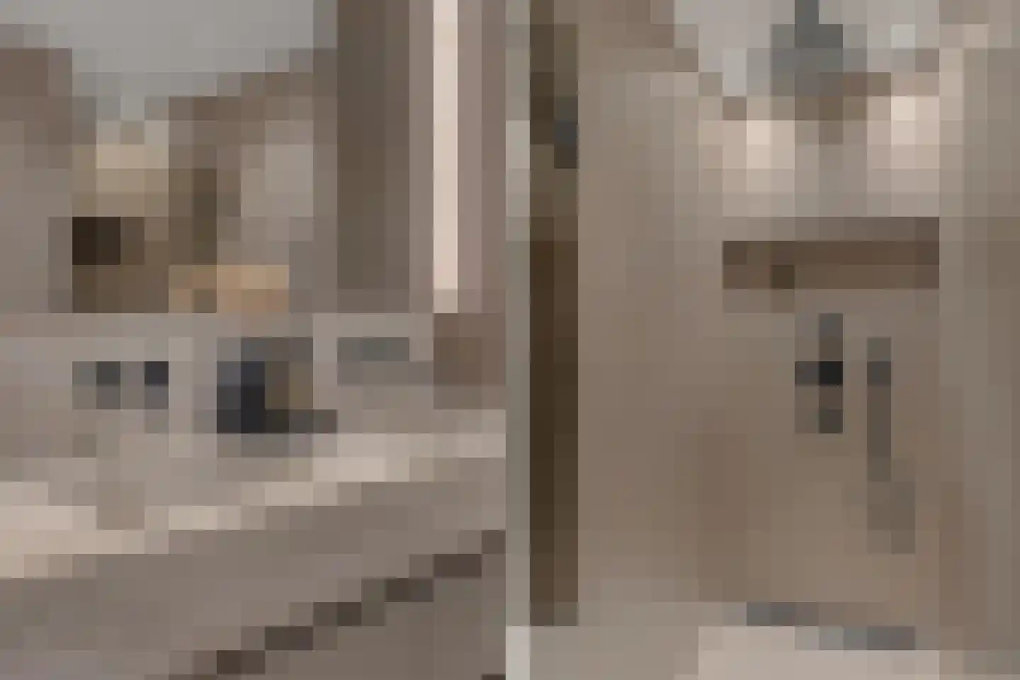 Kloostermuur 16 Houten thumbnail 20