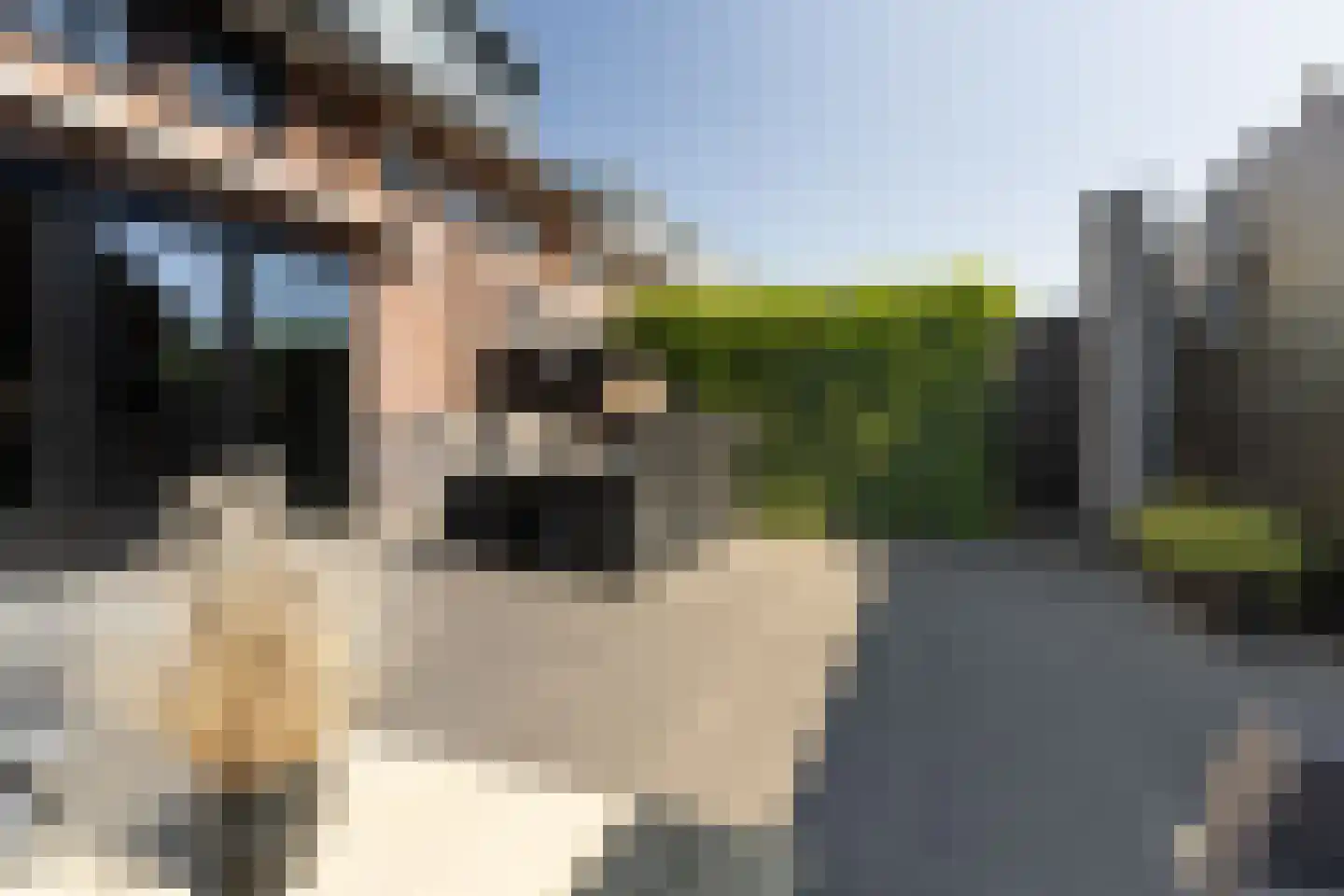 Kloostermuur 16 Houten thumbnail 32