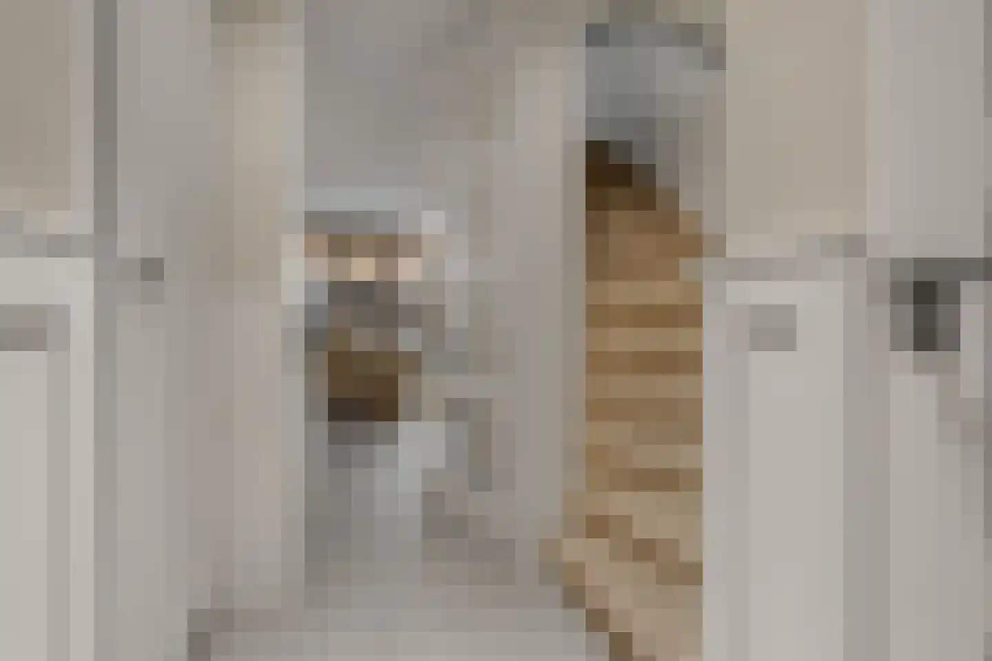 Kloostermuur 16 Houten thumbnail 4