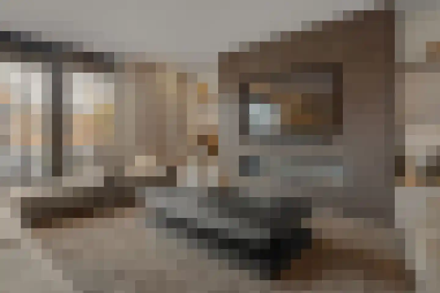 Kloostermuur 16 Houten thumbnail 8