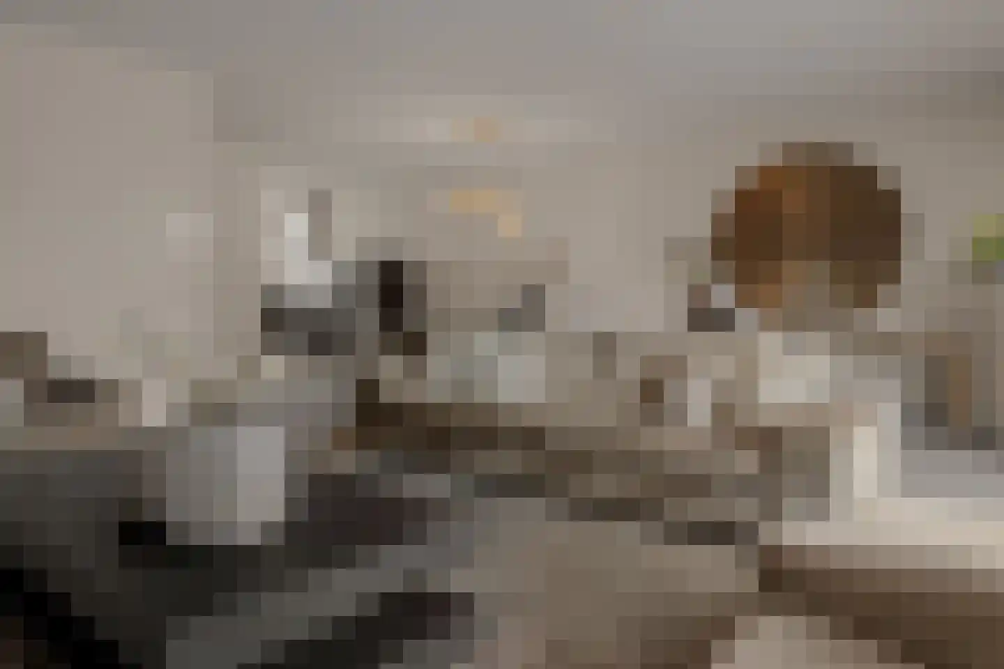 Kloostermuur 16 Houten thumbnail 9