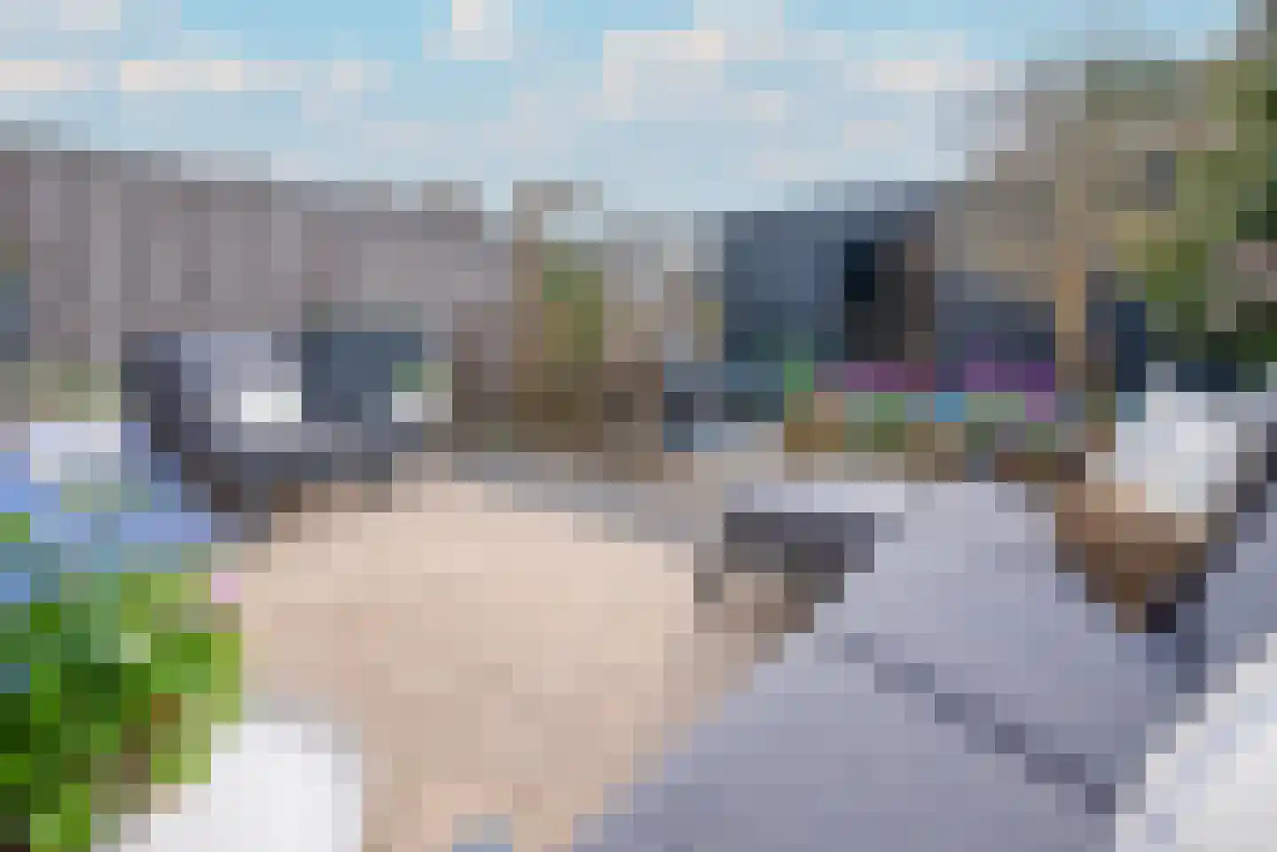 Kloostermuur 48 Houten thumbnail 11