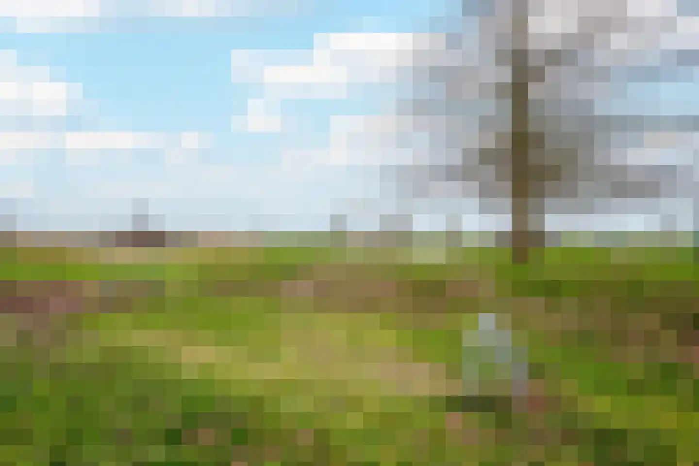 Kloostermuur 48 Houten thumbnail 31
