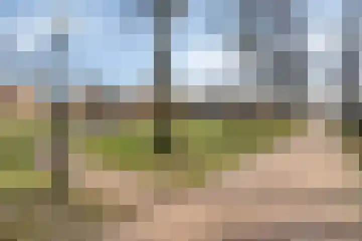 Kloosterpad 9 Stevensbeek thumbnail 36