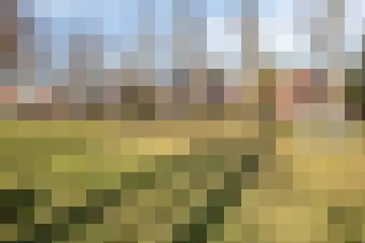 Kloosterpad 9 Stevensbeek thumbnail 37