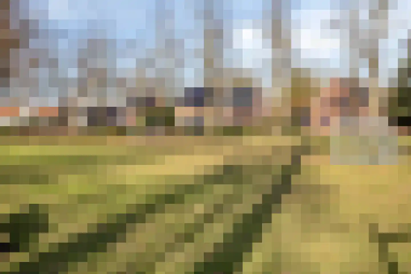 Kloosterpad 9 Stevensbeek thumbnail 45