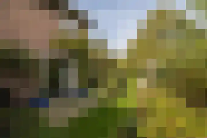 Kloosterpark 1 De Meern thumbnail 27