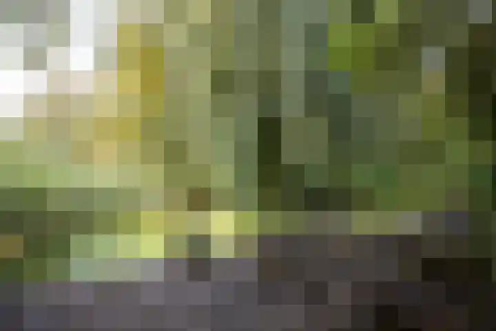 Kloosterpark 1 De Meern thumbnail 30