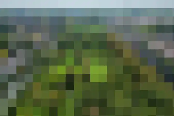Kloosterpark 1 De Meern thumbnail 36