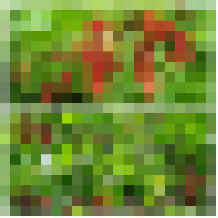 Kloosterpark 1 De Meern thumbnail 40
