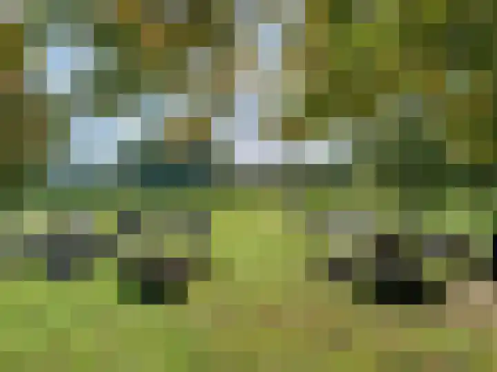 Kloosterpark 1 De Meern thumbnail 44
