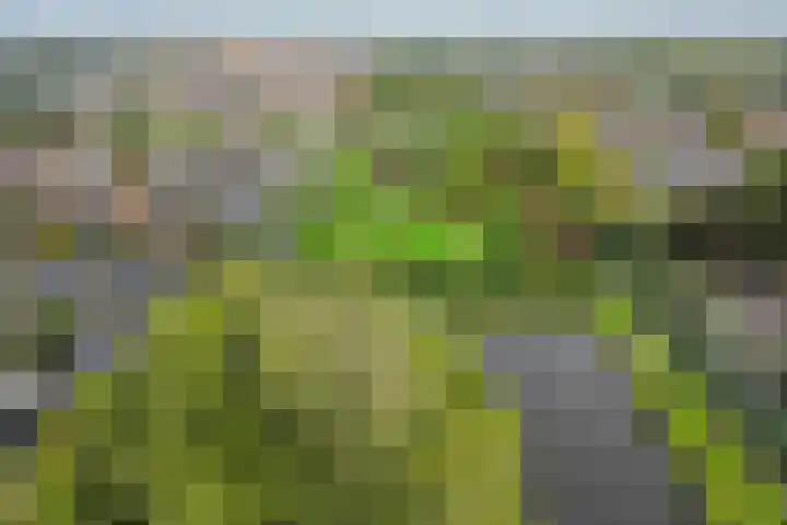 Kloosterpark 1 De Meern thumbnail 47