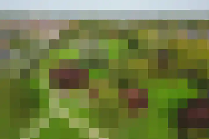 Kloosterpark 1 De Meern thumbnail 48