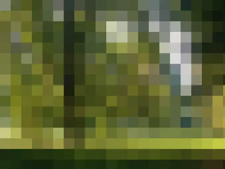 Kloosterpark 1 De Meern thumbnail 6