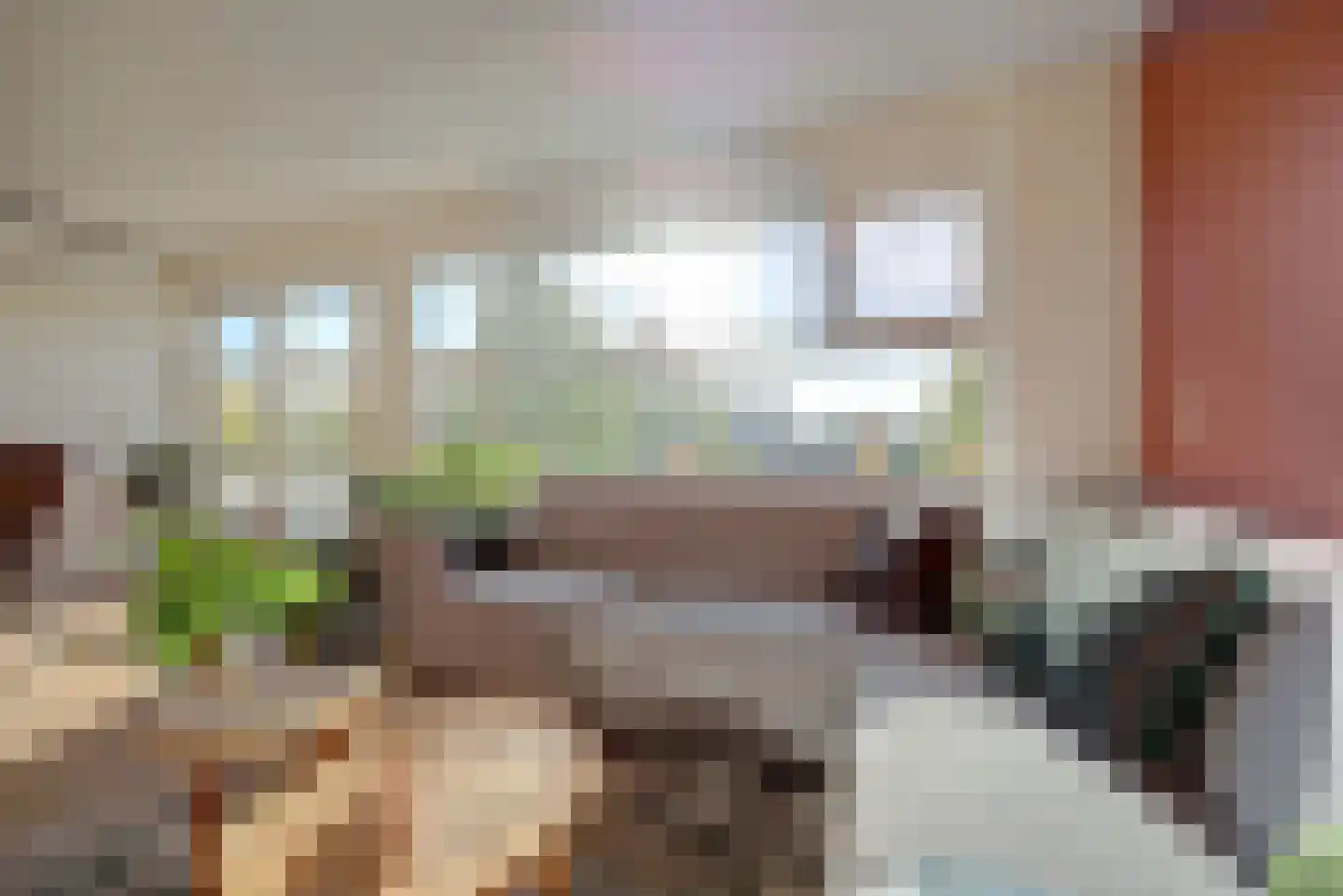 Kloosterplaats 23 Bemmel thumbnail 11
