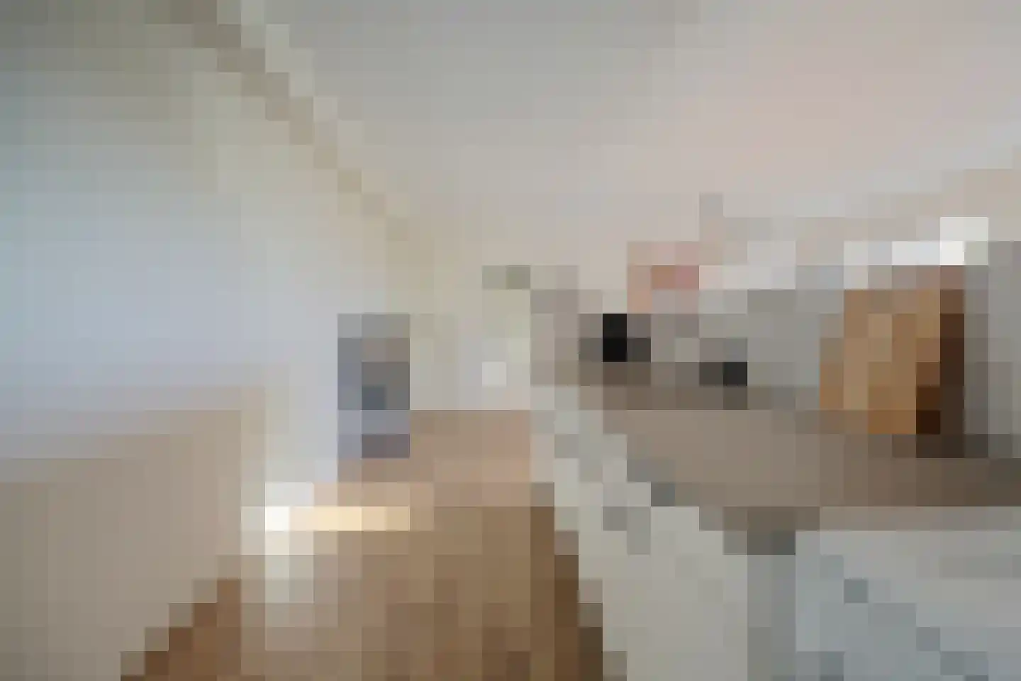 Kloosterplaats 23 Bemmel thumbnail 21