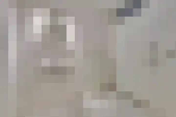 Kloosterplaats 23 Bemmel thumbnail 25