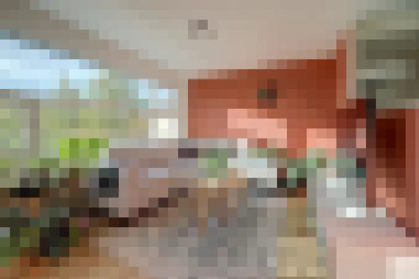 Kloosterplaats 23 Bemmel thumbnail 9