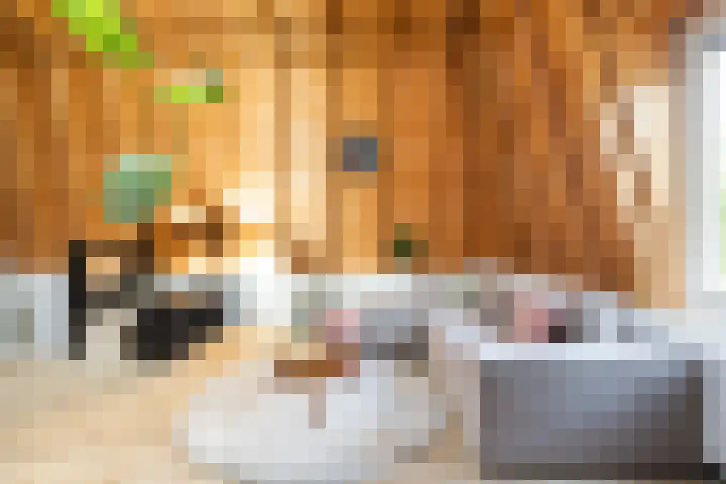 Kloostersingel 1 A Dokkum thumbnail 17