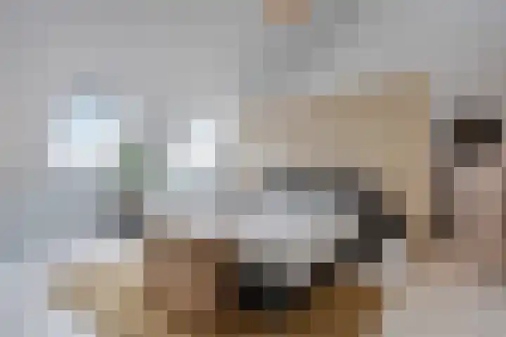 Kloostersingel 10 Haren Gn thumbnail 37