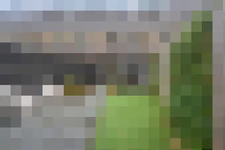 Kloostersingel 10 Haren Gn thumbnail 4