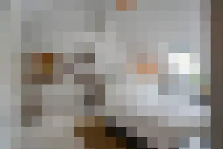 Kloostersingel 10 Haren Gn thumbnail 40