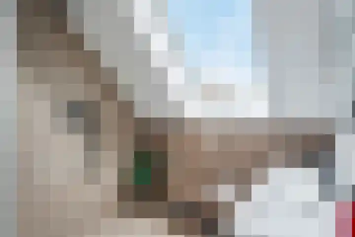Kloostersingel 10 Haren Gn thumbnail 41
