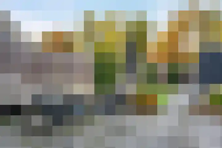 Kloostersingel 10 Haren Gn thumbnail 5