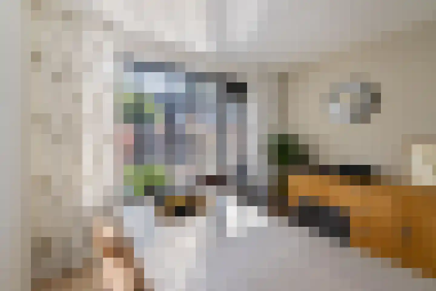 Kloostersingel 10 Harkstede thumbnail 13