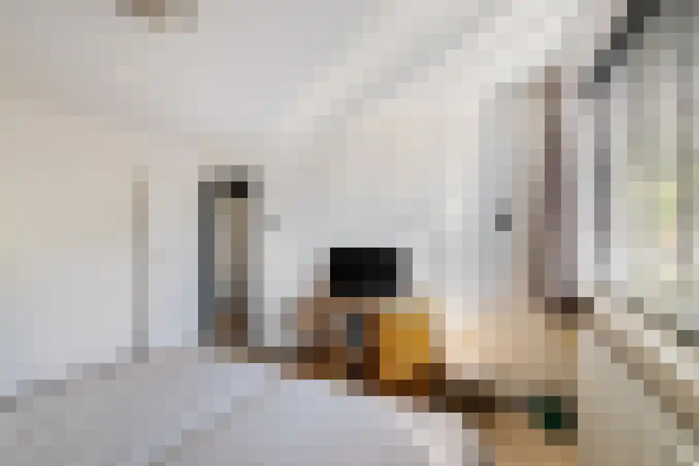 Kloostersingel 10 Harkstede thumbnail 23