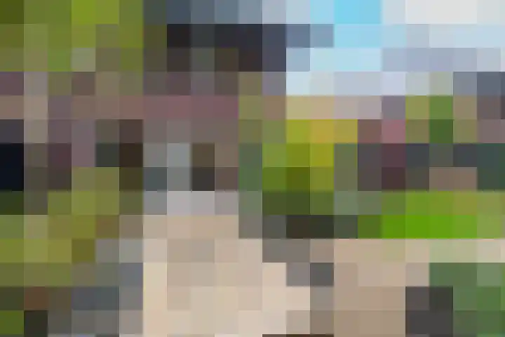 Kloostersingel 19 Haren Gn thumbnail 67
