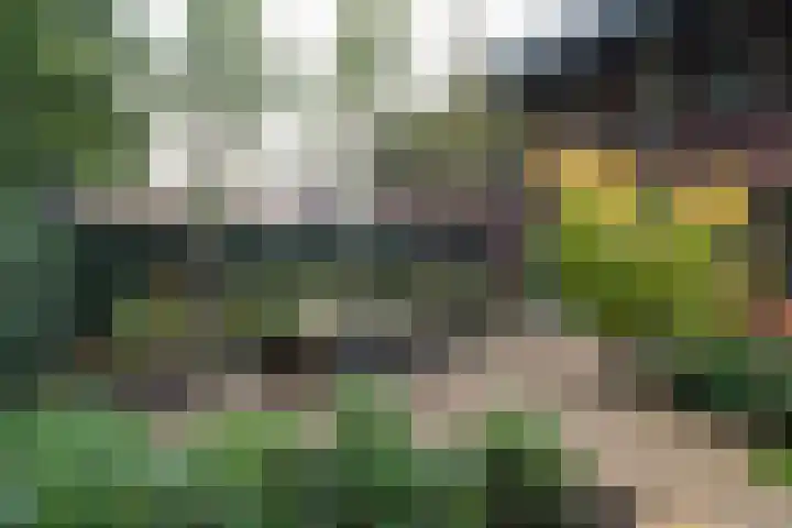 Kloostersingel 19 Haren Gn thumbnail 69
