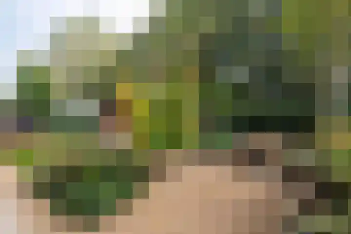 Kloostersingel 19 Haren Gn thumbnail 70