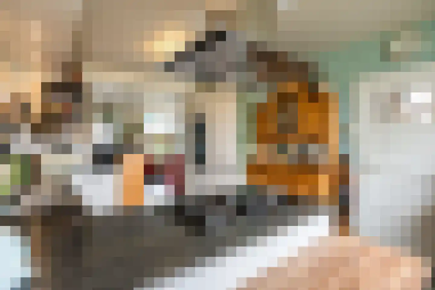 Kloostersingel 32 Kloosterburen thumbnail 11