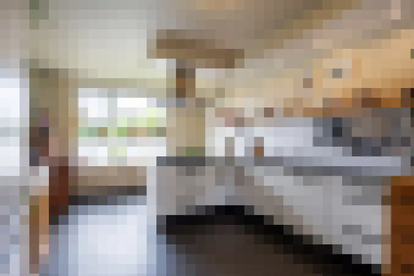 Kloostersingel 32 Kloosterburen thumbnail 13