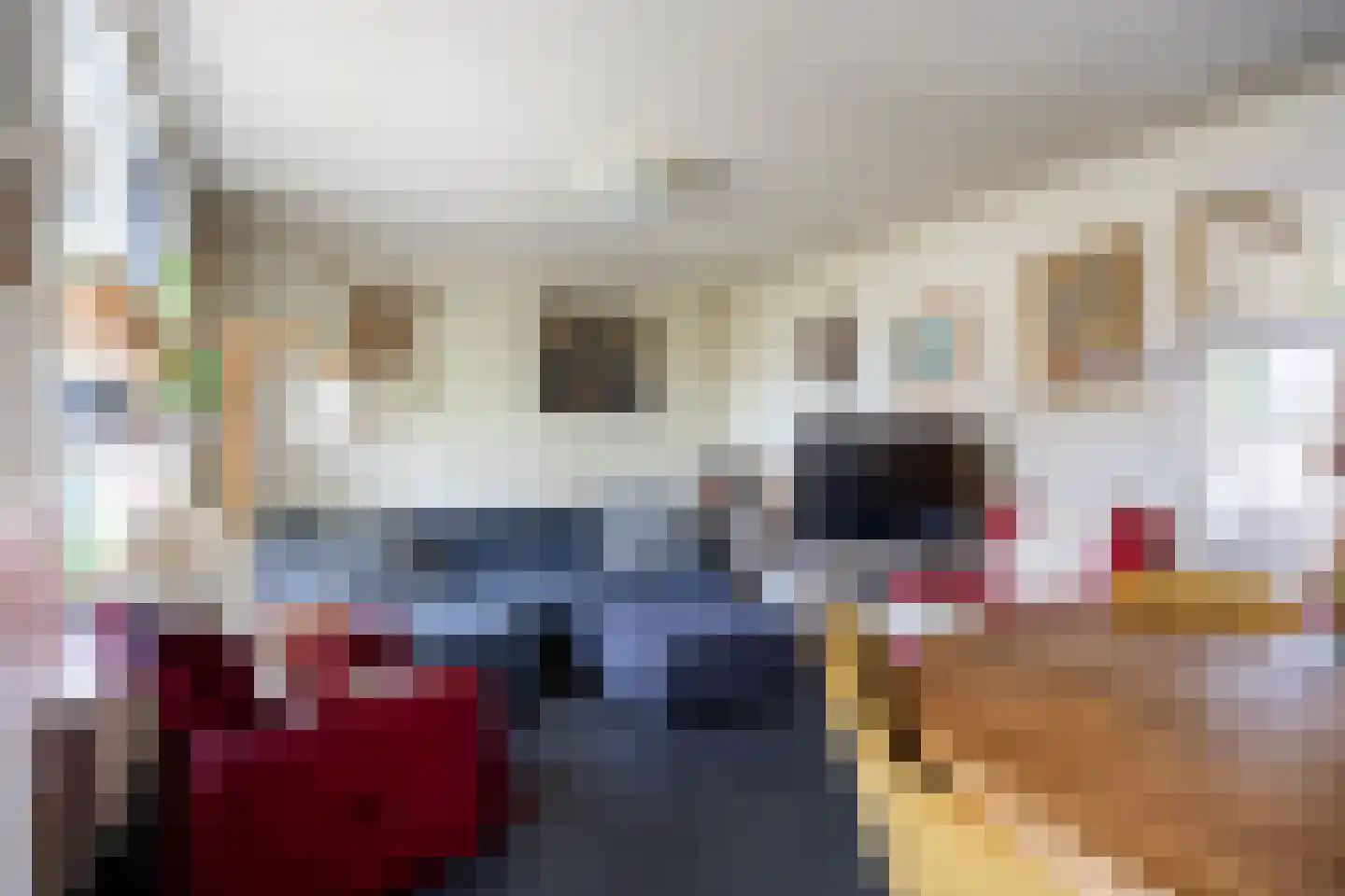 Kloostersingel 32 Kloosterburen thumbnail 16