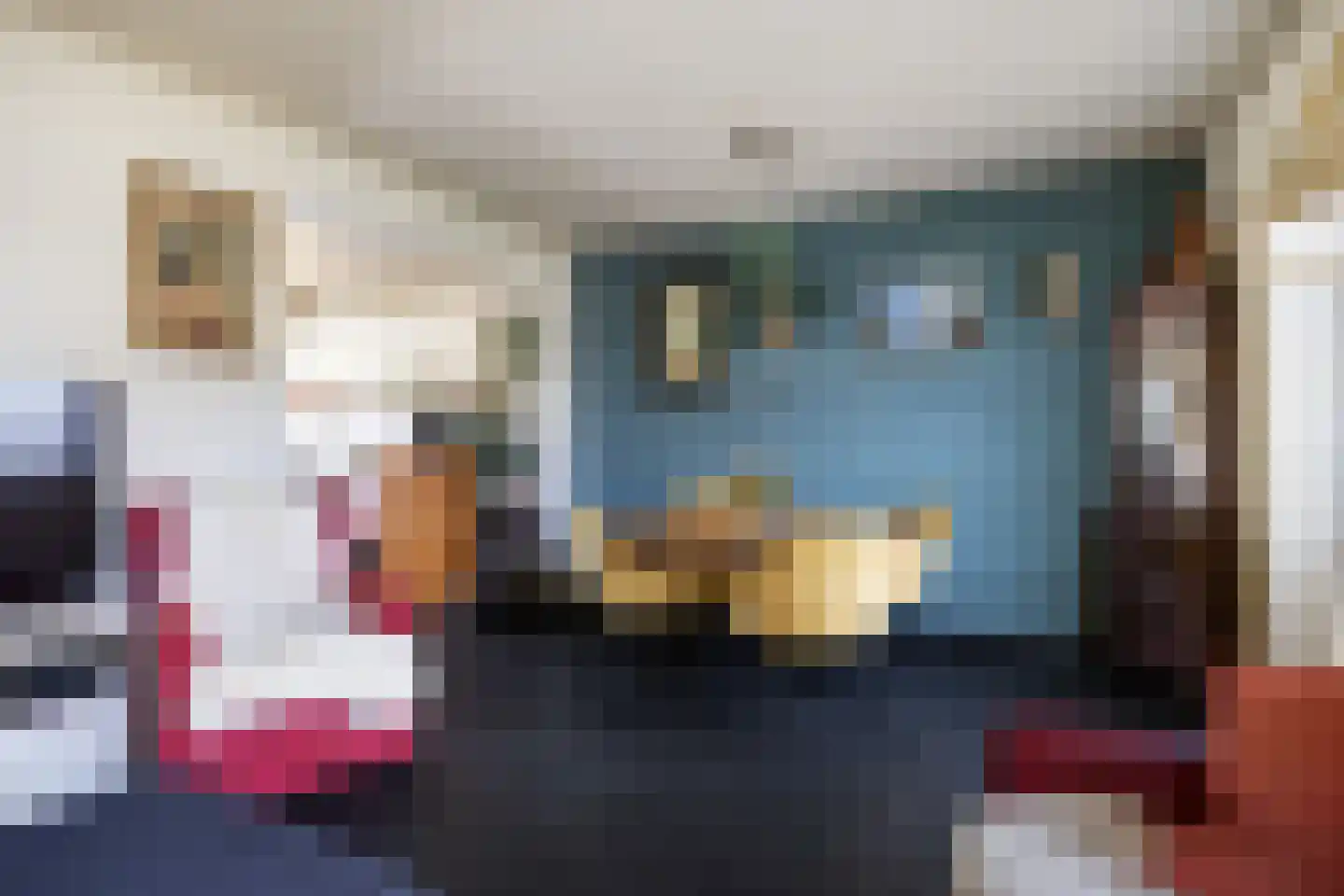 Kloostersingel 32 Kloosterburen thumbnail 17