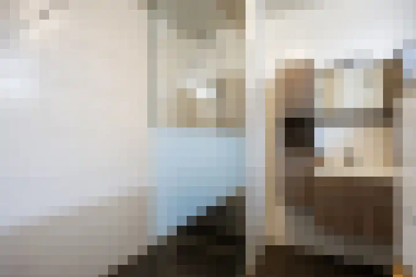 Kloostersingel 32 Kloosterburen thumbnail 18
