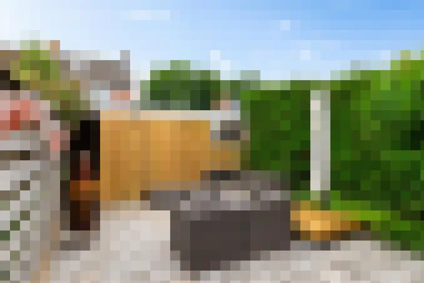 Kloostersingel 34 Harkstede thumbnail 21