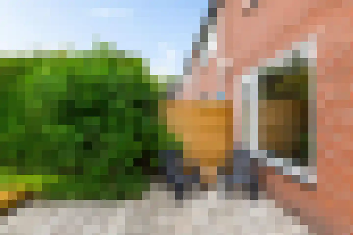 Kloostersingel 34 Harkstede thumbnail 23