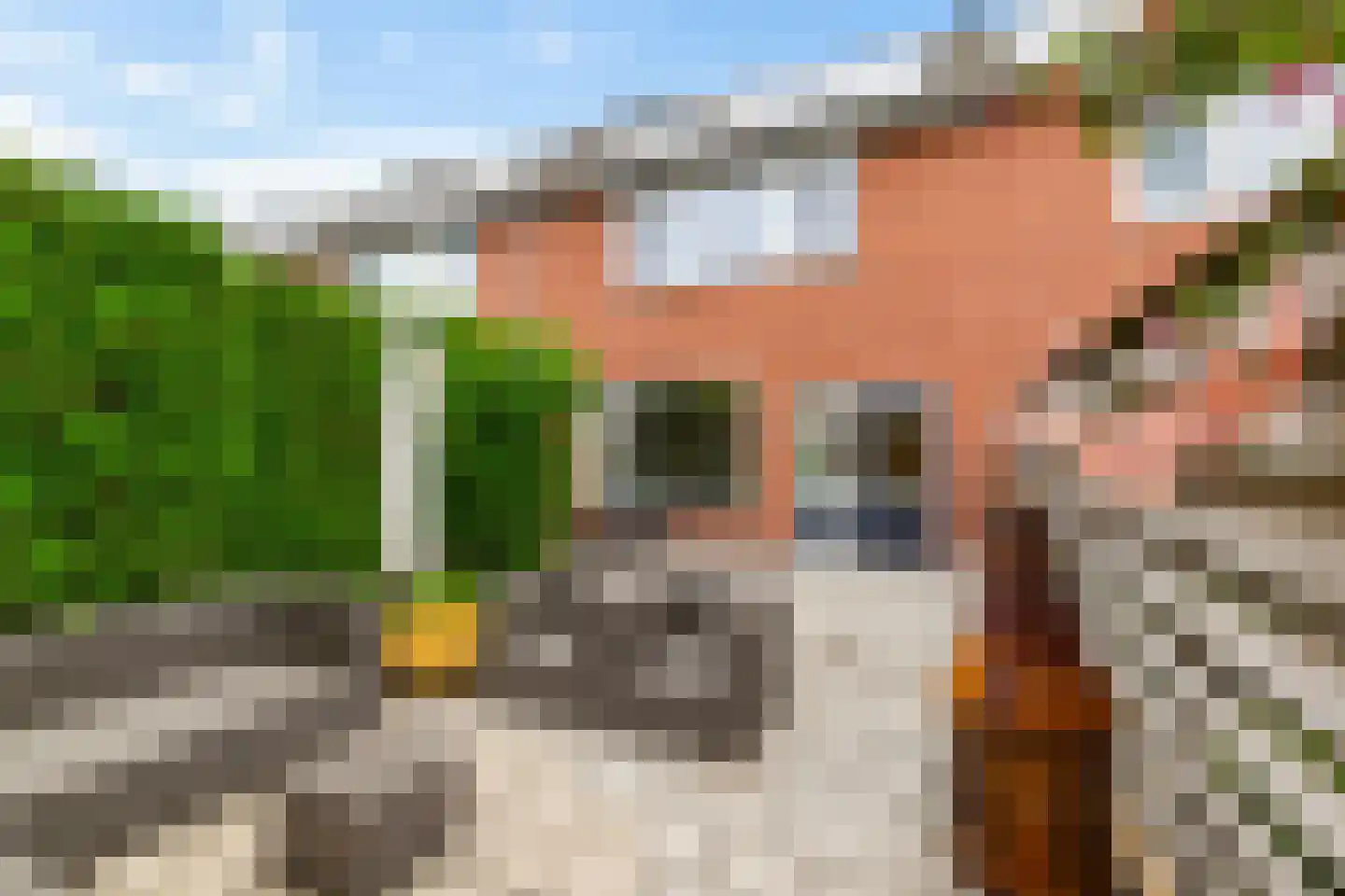 Kloostersingel 34 Harkstede thumbnail 24