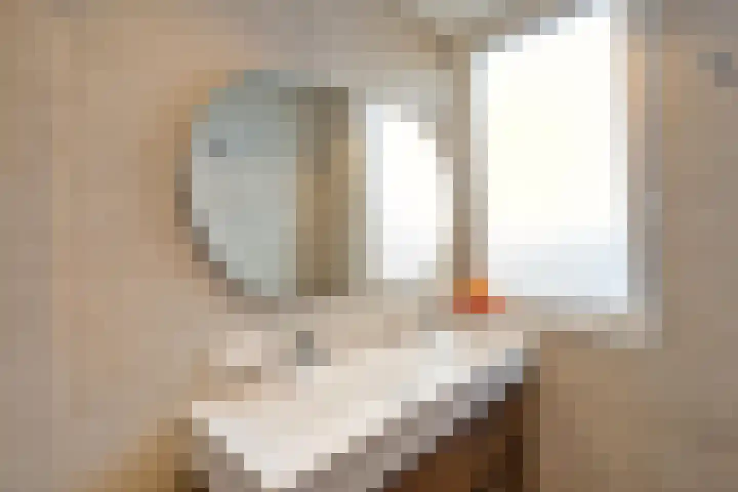 Kloostersingel 34 Harkstede thumbnail 34