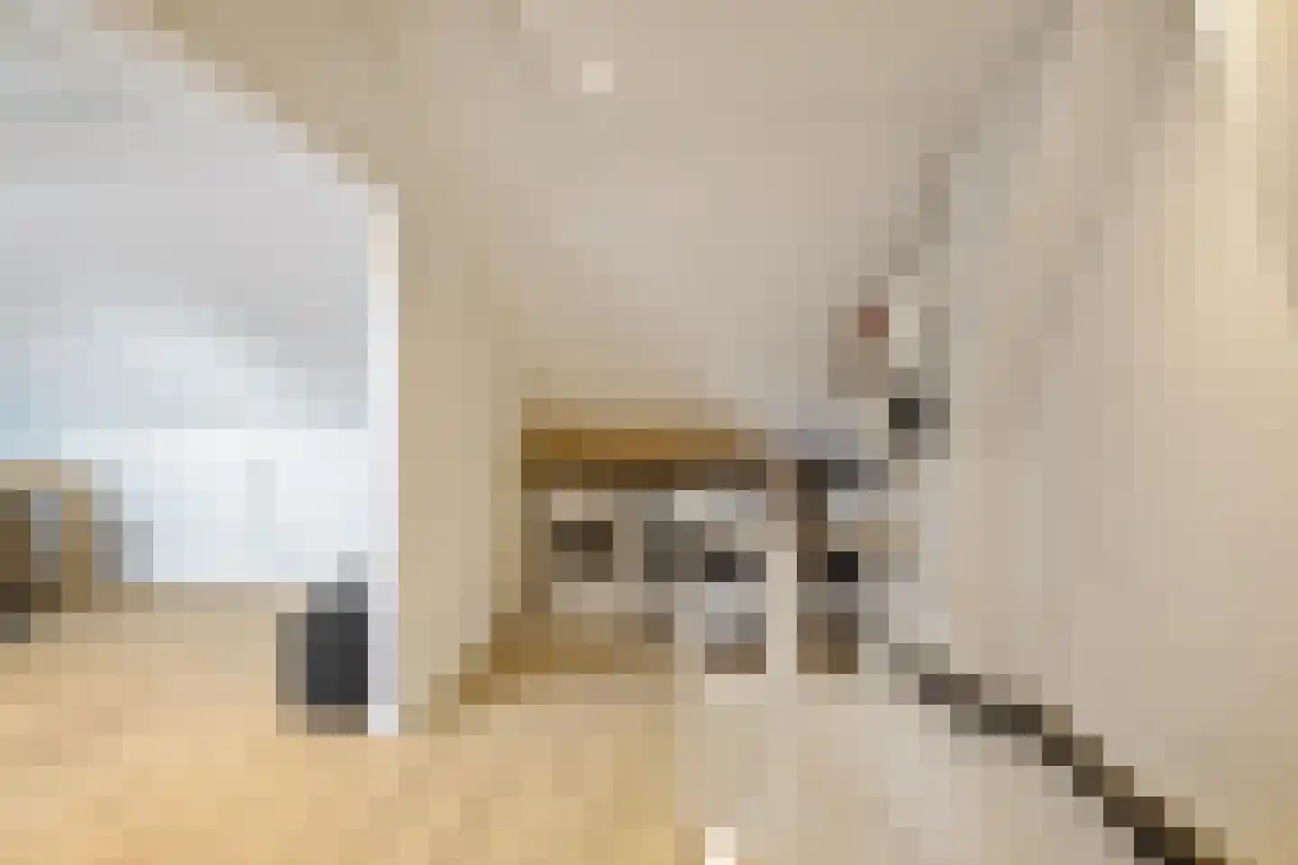 Kloostersingel 34 Harkstede thumbnail 35