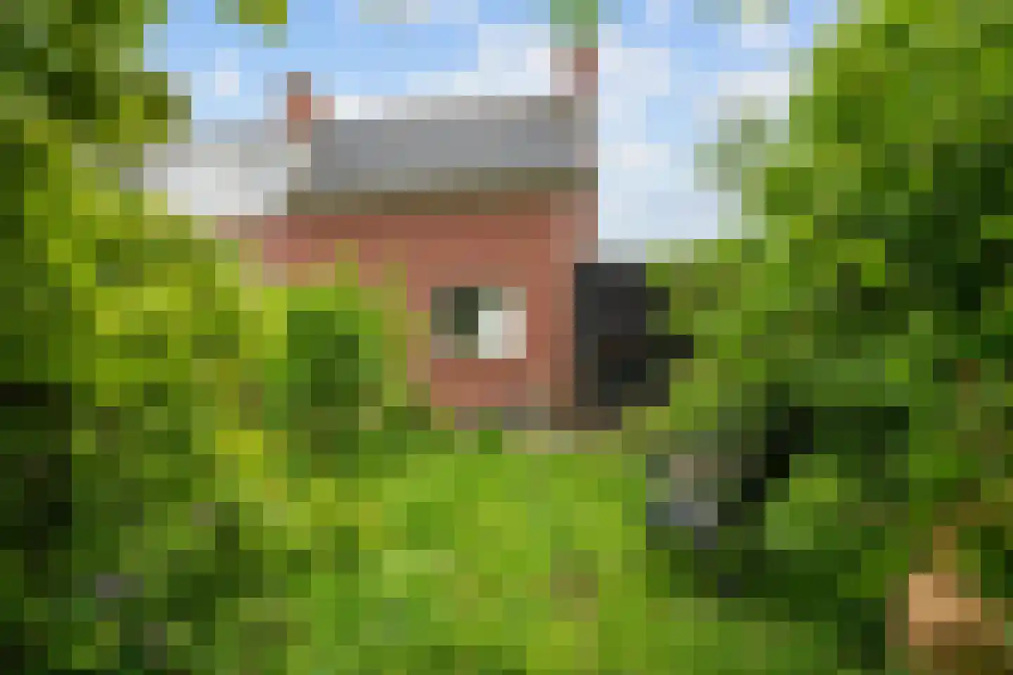 Kloostersingel 39 Kloosterburen thumbnail 23