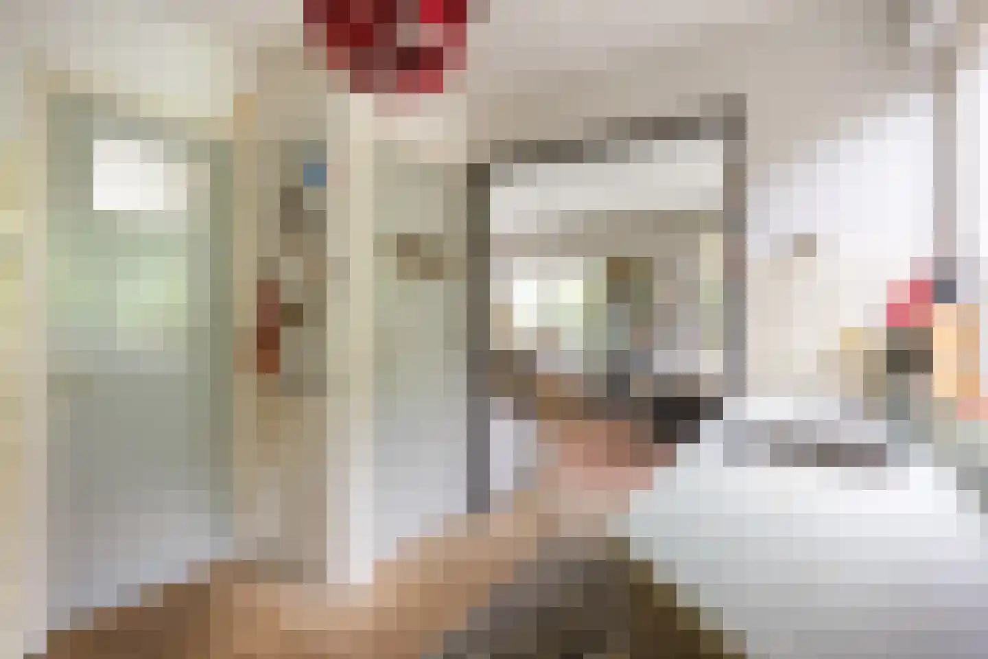 Kloostersingel 39 Kloosterburen thumbnail 9