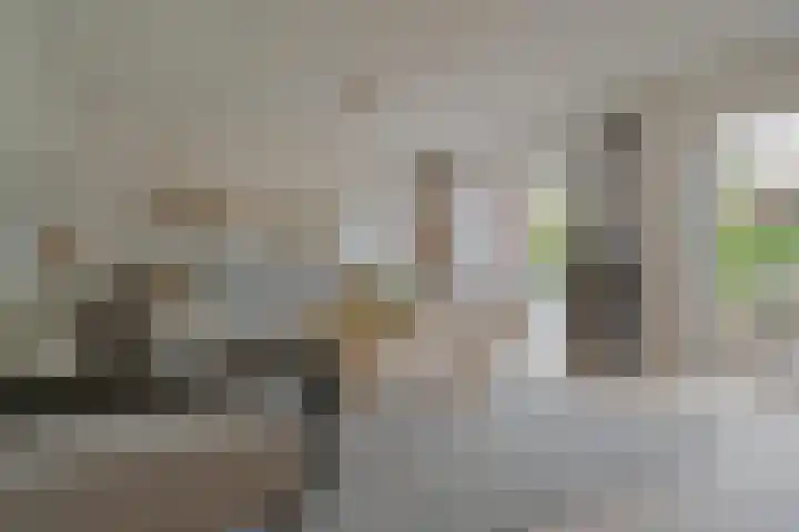 Kloostersingel 9 Assen thumbnail 22