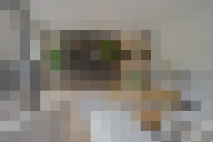 Kloostersingel 9 Assen thumbnail 24